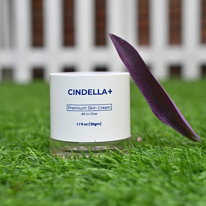 0d9903_213572b2a8f248aa9207f65a790bd46c~mv2